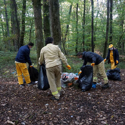 Belgrad 'Çöplüğü'! Tam 30 ton toplandı