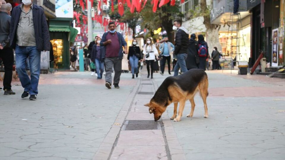 Her gün saatlerce aynı yere bakıyordu! Sırrı çözüldü