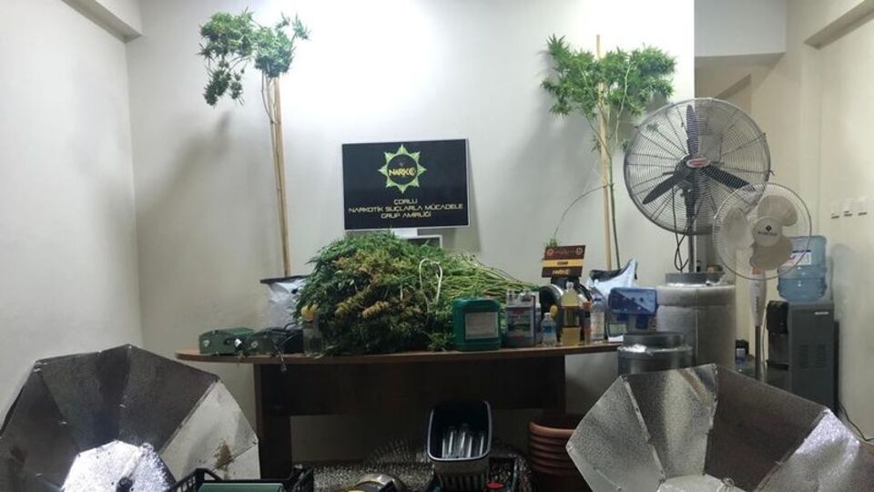 Dubleks kenevir tarlası