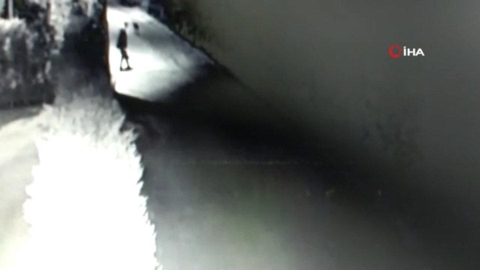 Köpek cinayetinden doktor çıktı!