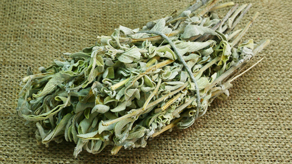 Adaçayının faydaları ve zararları