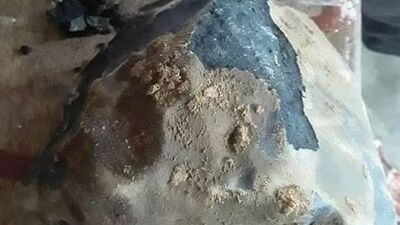 Bahçesine düştü... Milyoner oldu!