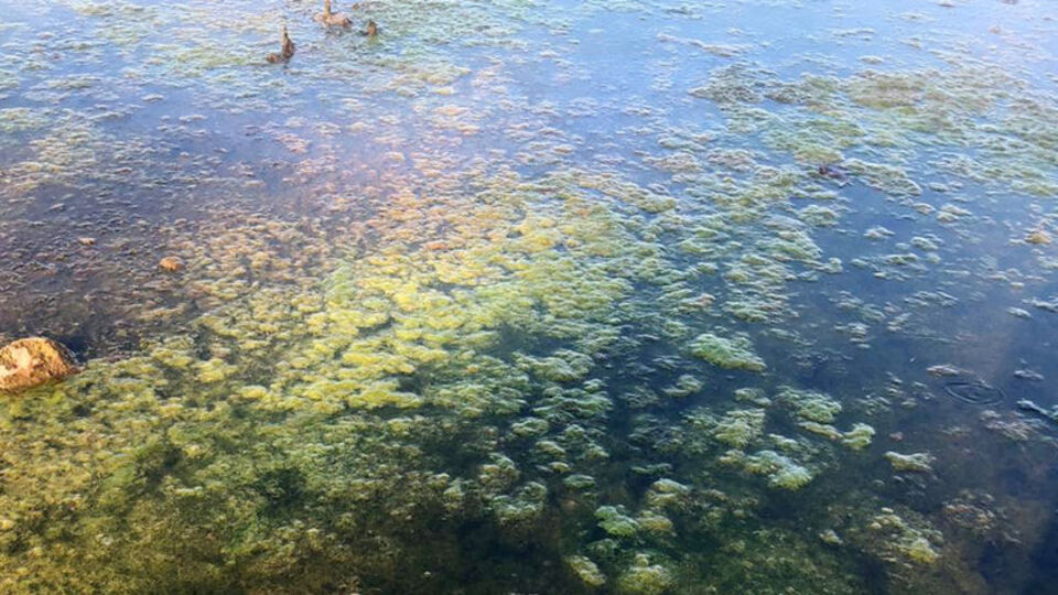 Eğirdir ve Beyşehir'de 'dip suyu' alarmı!