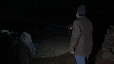 Kurtlar sürüye saldırı 35 koyun öldü