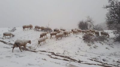 Manisa'ya yılın ilk karı düştü