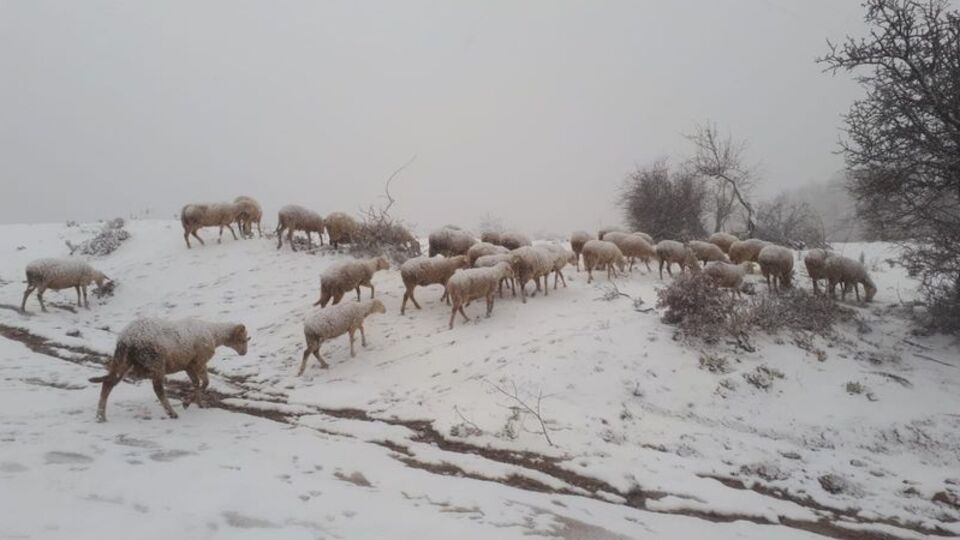 Manisa'ya yılın ilk karı düştü