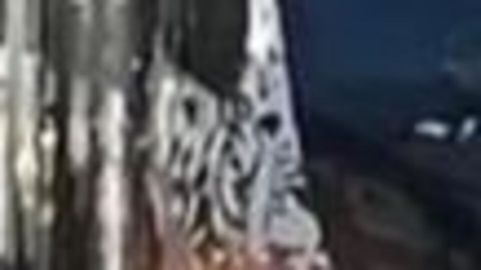 Hafta sonu toplu taşıma çalışıyor mu?