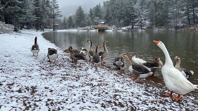 Akdeniz'e sel, iç bölgelere kar uyarısı