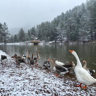 Akdeniz'e sel, iç bölgelere kar uyarısı