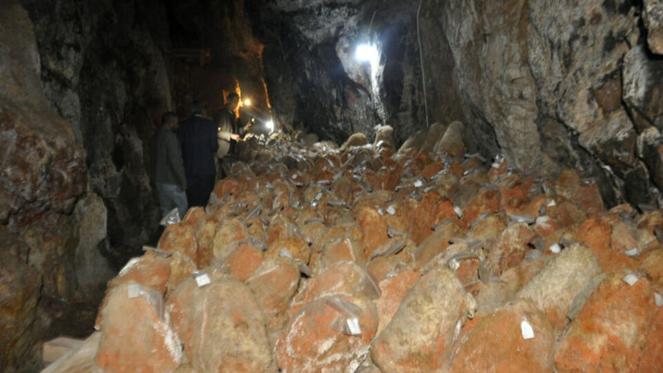 60 yıldır kullanılmayan mağarada yapacaklar! Kilosu 130 lira