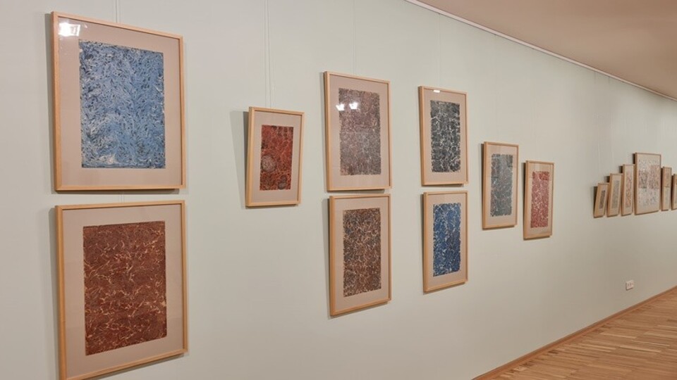 Ebru Sanatının 500 Yılı