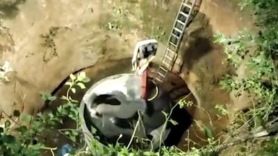 Köpekten kaçarken kuyuya düştü... Seferber oldular