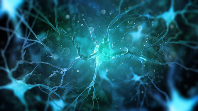 Türkiye'de ilk! Beynin gizemi çözülecek