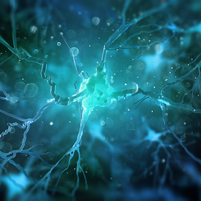 Türkiye'de ilk! Beynin gizemi çözülecek