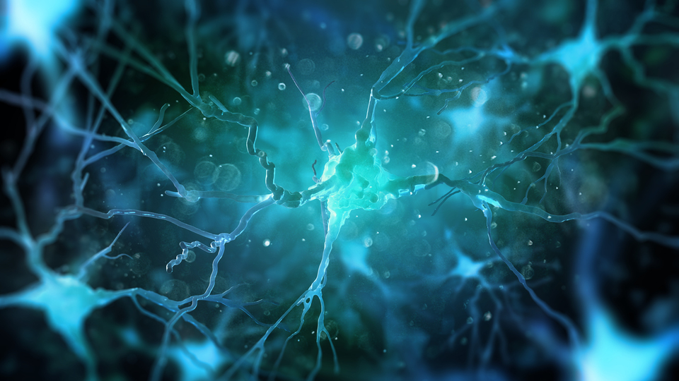 Türkiye'de ilk! Beynin gizemi çözülecek