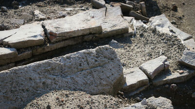 Bahçesine fidan dikerken buldu! O günden sonra...