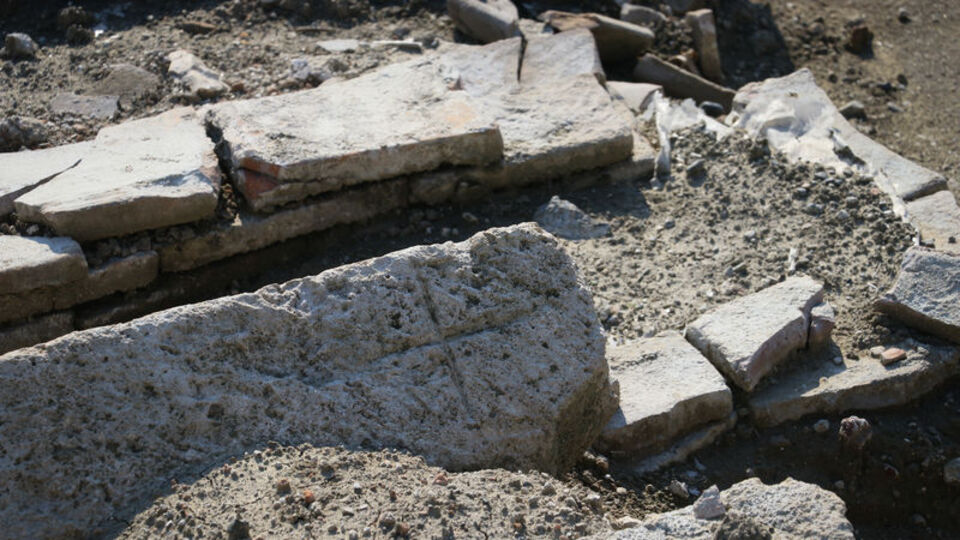 Bahçesine fidan dikerken buldu! O günden sonra...