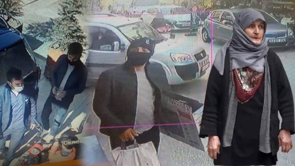 Domuz bağı canileri kamerada!