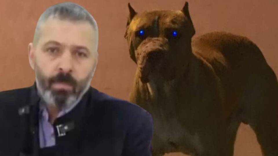 Akılalmaz cinayet! Uyardı, canından oldu