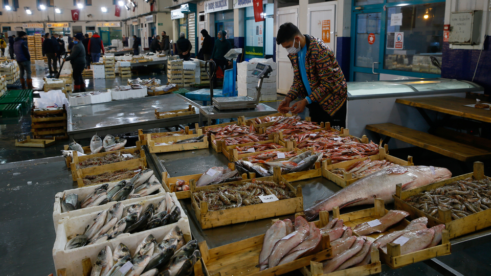 İzmirli balıkçılar talebe yetişemiyor