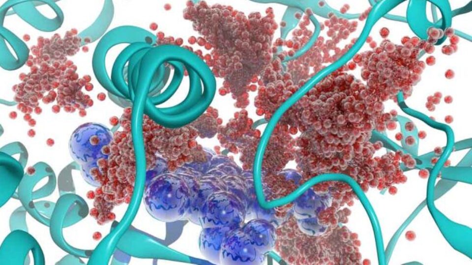 Enzimler ve canlılar için önemi nedir?