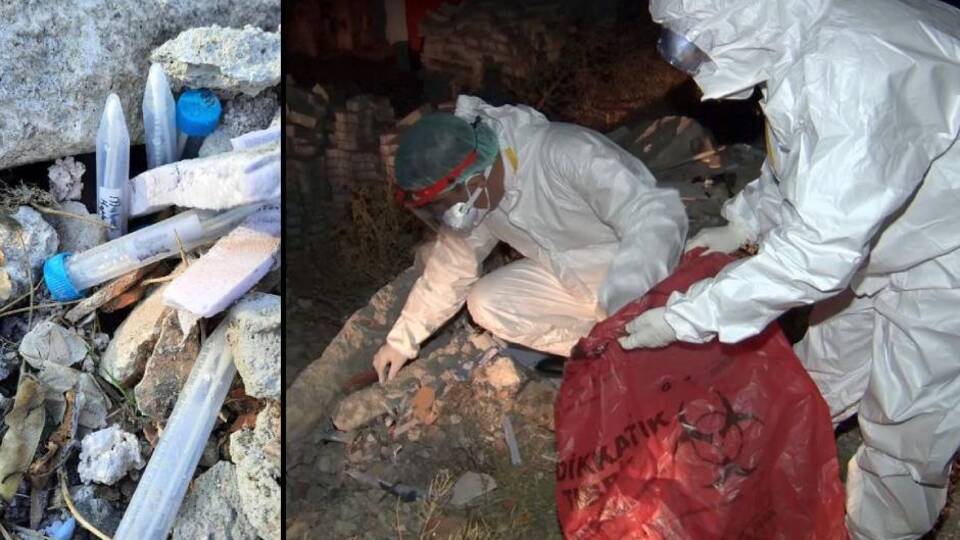 Panikleten görüntü! Mahalle arasında bulundu