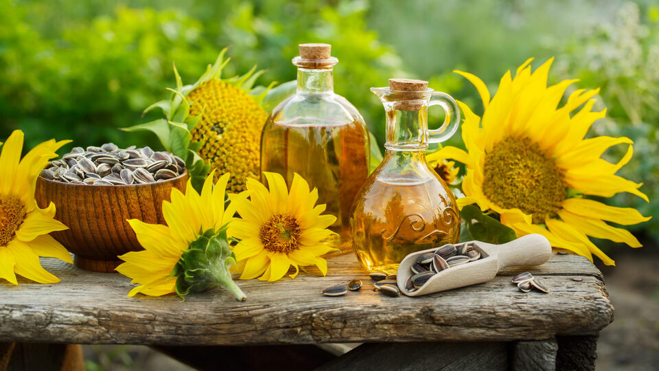 Ayçiçek yağında gümrük vergisi düşürüldü