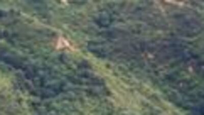 Çin'de bulundu! 4 bin yıllık...