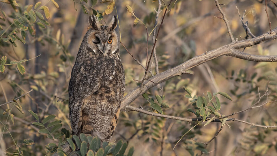 Köyün dengesini onlar sağlıyor
