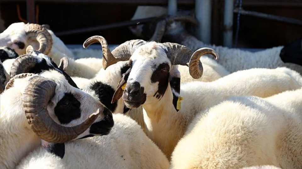 Kurban Bayramı ne zaman 2021