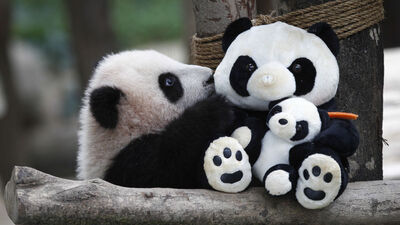 Restoranı koronadan kapanınca bunu yaptı