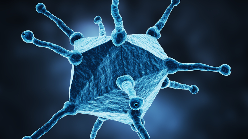 Korkutan uyarı! Koronavirüs kadar hızlı...