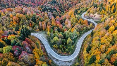 İstanbul'un yanı başında güz renkleri!