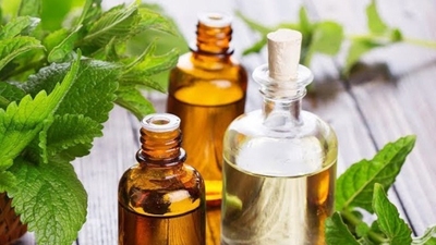 Isırgan otu tohumu yağının etkileri cilt uygulaması