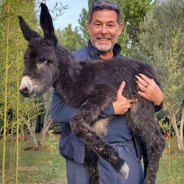 "Kömür sıpamız doğdu"