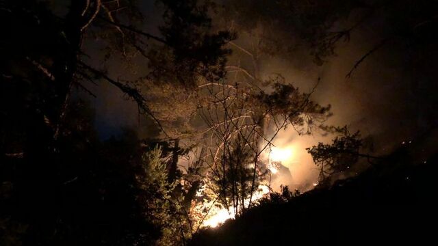 Kastamonu'da korkutan orman yangını