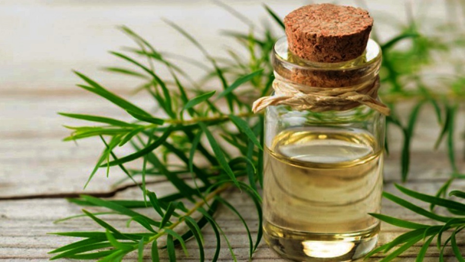 Çay ağacı yağının cilt lekelerine etkisi