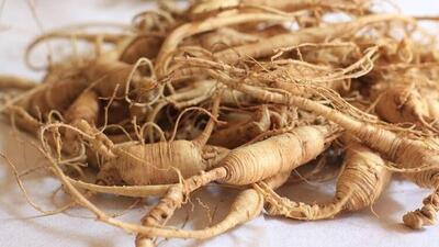 Ginseng bitkisinin faydaları ve zararları