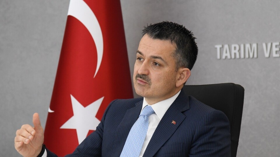 Su ürünlerinde destek miktarları belli oldu