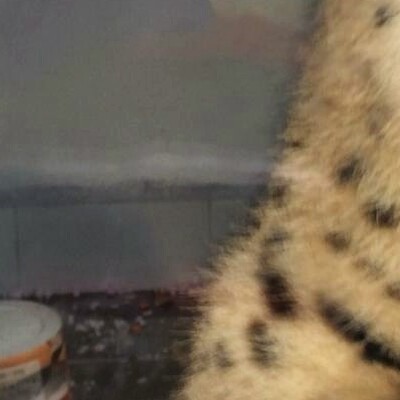 Jandarmayı şaşkına çeviren operasyon!