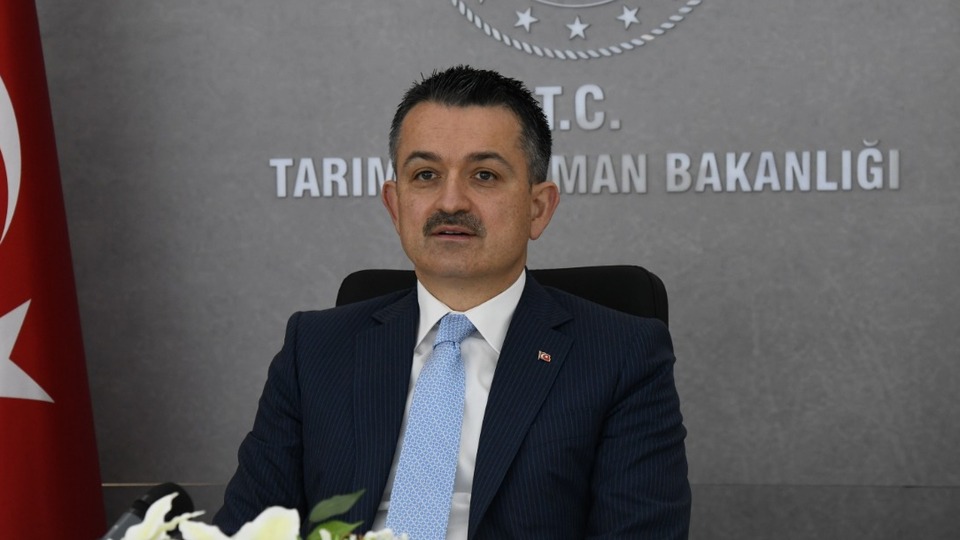 Balon balığı avcılığına destek