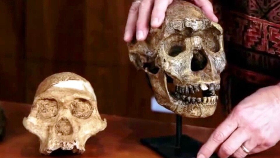 Antropolojinin tanımı, konusu ve türleri