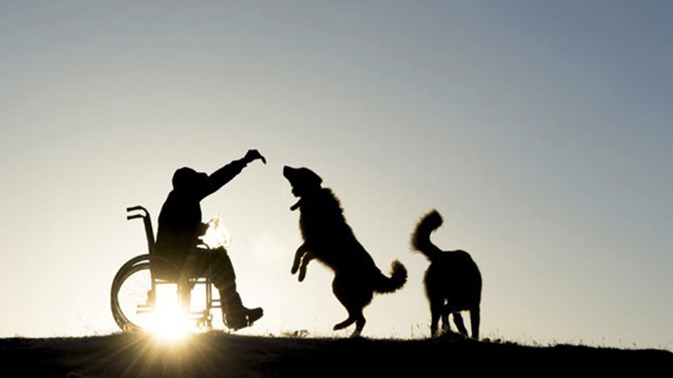 3 Aralık Dünya Engelliler Günü nedir?