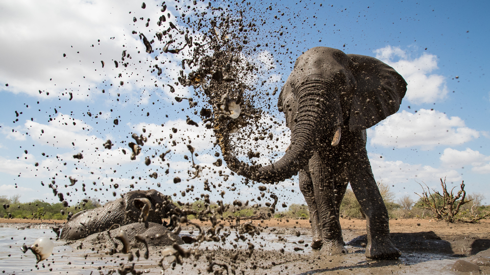 Suyun öneminin belgeseli