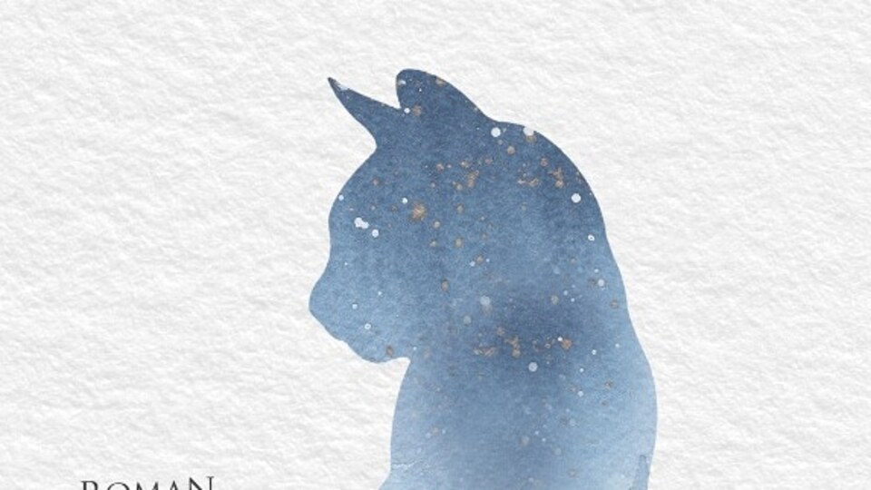 'Mevlâna'nın Kedisi' kitapçılarda