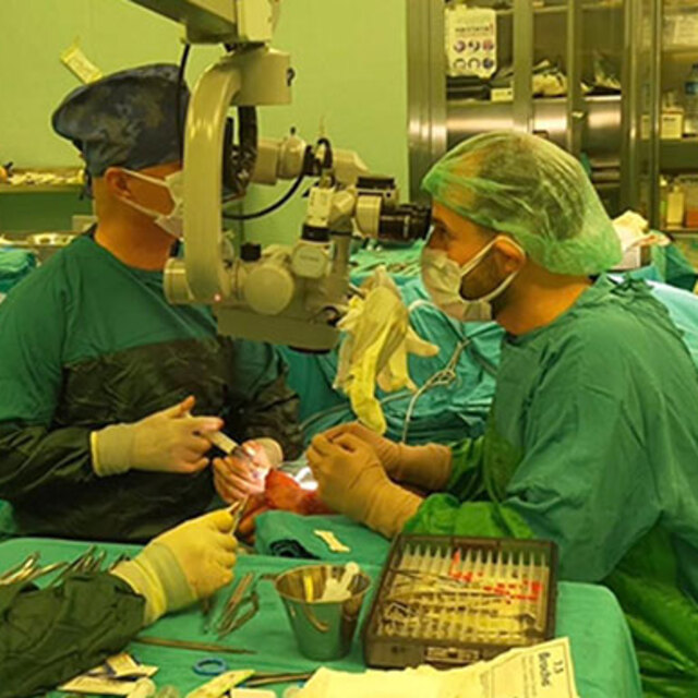 Mikrocerrahide bir ilki Türk doktorlar başardı