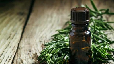 Çay ağacı yağı nedir?