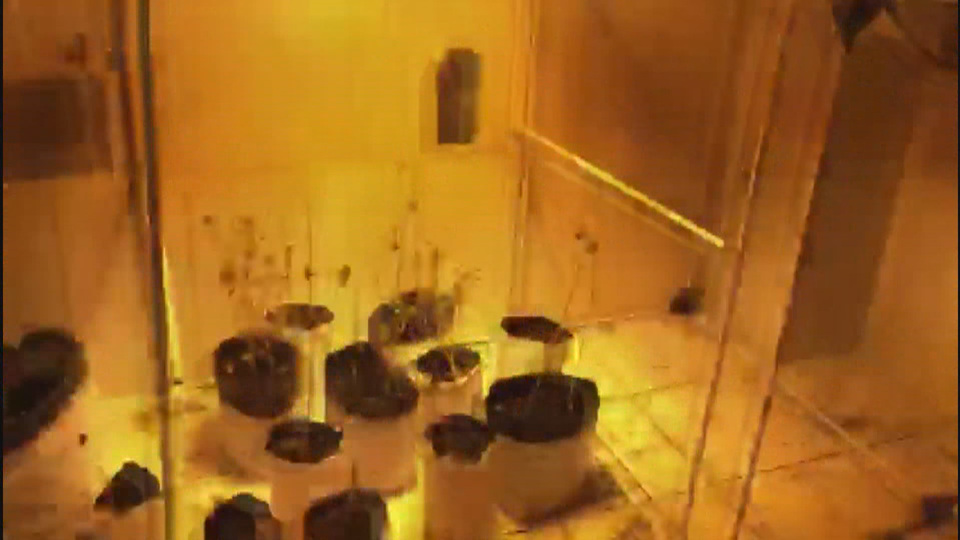 Uyuşturucu villasına baskın!