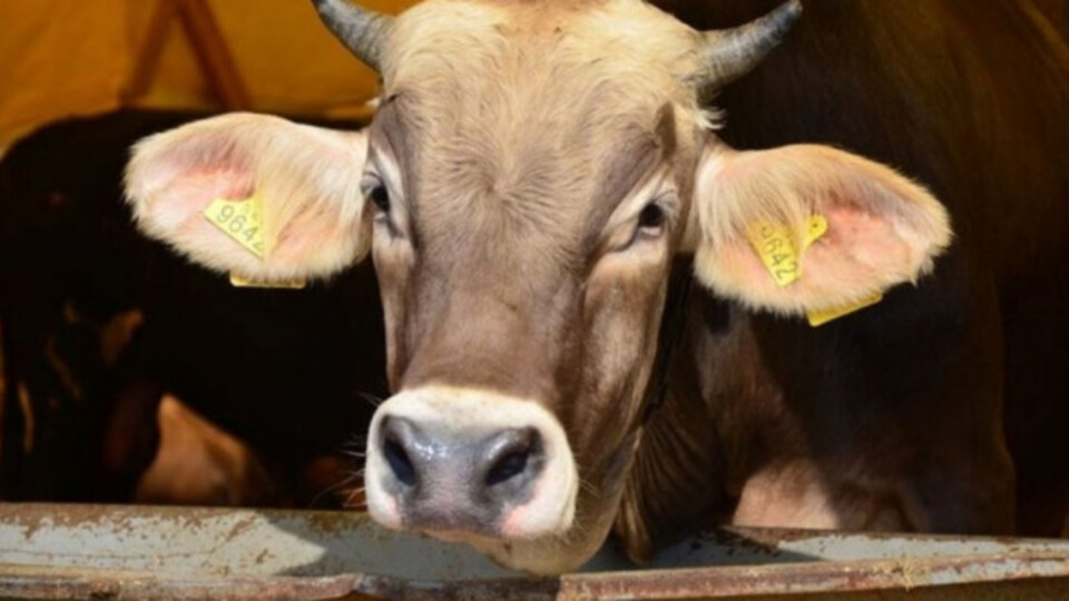 Kurban Bayramı ne zaman 2021