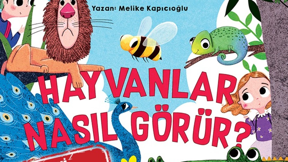Hayvanlar nasıl görür?